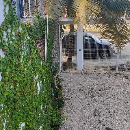 شقة Departamento Centrico Con Estacionamiento Felipe Carrillo Puerto المظهر الخارجي الصورة